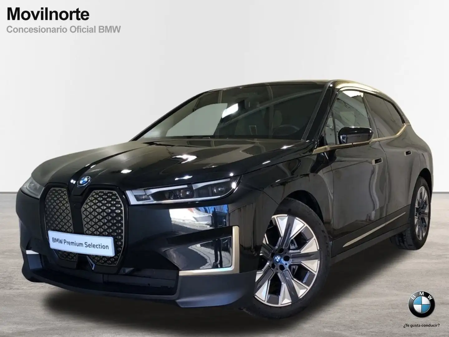 BMW iX xDrive 40 Negro - 1