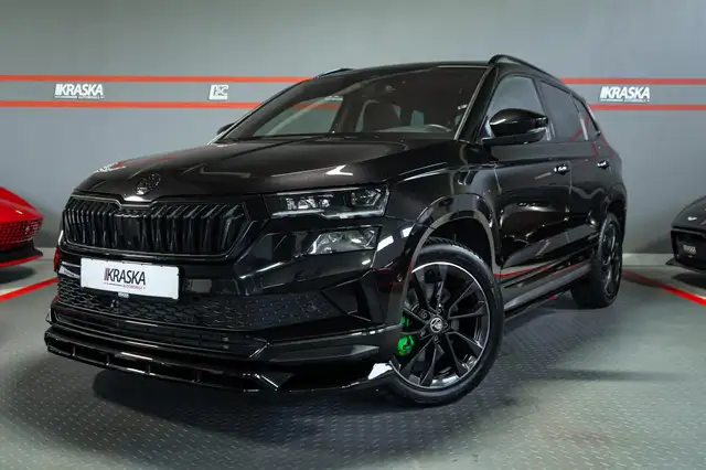 Skoda Karoq view 2
