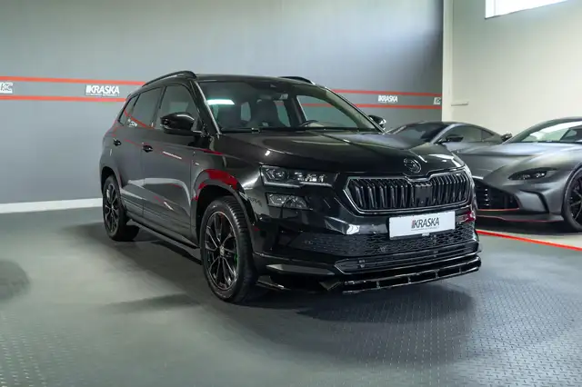 Skoda Karoq view 6
