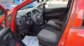 Fiat Punto Punto 1,2 69 Nuova Collezione Nuova Collezione Rot - thumbnail 15