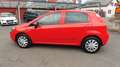 Fiat Punto Punto 1,2 69 Nuova Collezione Nuova Collezione Rot - thumbnail 8