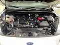 Ford Kuga 1.5 EcoBoost ST-Line X FWD 150 Blanc - thumbnail 12