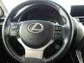 Lexus NX 300 300h Executive Navigation 4WD Gris - thumbnail 14