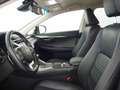 Lexus NX 300 300h Executive Navigation 4WD Gris - thumbnail 13