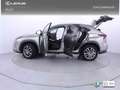 Lexus NX 300 300h Executive Navigation 4WD Gris - thumbnail 28