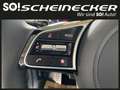 Kia Ceed SW / cee'd SW ceed SW 1,5 TGDI Silber P2 - Paket Style (Sofor... Noir - thumbnail 18