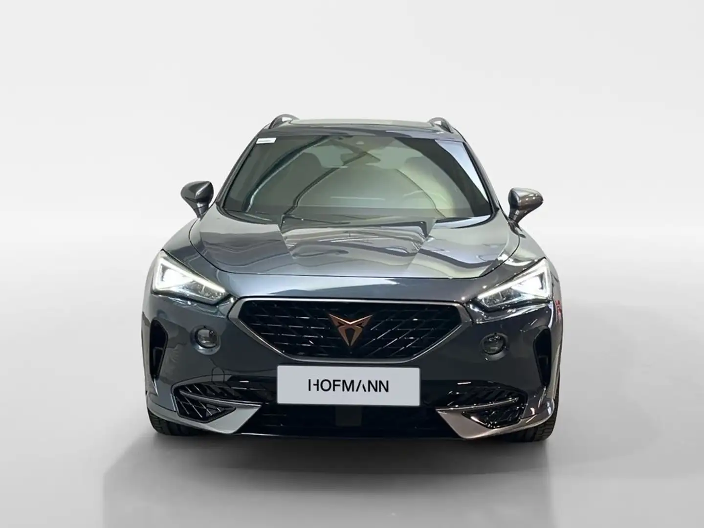 CUPRA Formentor VZ Grau - 2