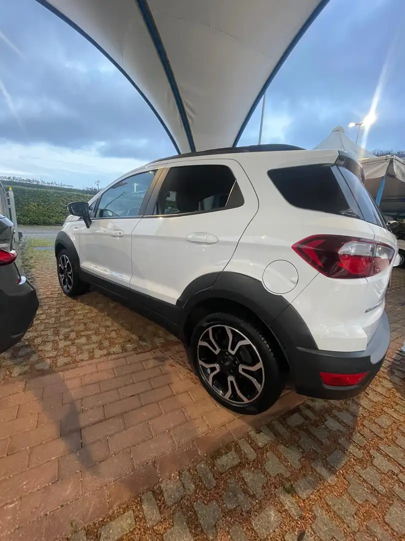 Ford EcoSport EcoSport 1.0 ecoboost Active Bianco - 2