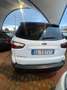 Ford EcoSport EcoSport 1.0 ecoboost Active Bianco - thumbnail 3