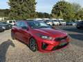 Kia ProCeed / pro_cee'd ProCeed GT-LINE 1.6CRDi Navi FullAssist Pano Tüv Rot - thumbnail 3