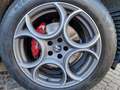 Alfa Romeo Stelvio Ti 2.2 JTDM Q4 210Cv ACC Bi-Xeno Keyless PDC Navi Gris - thumbnail 7