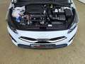 Kia Ceed / cee'd 1.5 T-GDI LED|Navi|SHZ Wit - thumbnail 24