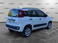 Fiat Panda Panda 0.9 TwinAir Turbo Natural Power Easy Bianco - thumbnail 5