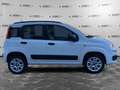 Fiat Panda Panda 0.9 TwinAir Turbo Natural Power Easy Bianco - thumbnail 4