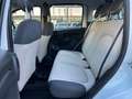 Fiat Panda Panda 0.9 TwinAir Turbo Natural Power Easy Bianco - thumbnail 12