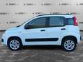 Fiat Panda Panda 0.9 TwinAir Turbo Natural Power Easy Bianco - thumbnail 8