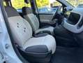Fiat Panda Panda 0.9 TwinAir Turbo Natural Power Easy Bianco - thumbnail 14