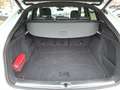 Audi Q5 40 TDI Sportback quattro S tronic edition one Weiß - thumbnail 13