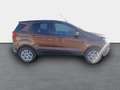 Ford EcoSport Trend Klimaautom SHZ Alarm Notbremsass. PDC Bergan Braun - thumbnail 4
