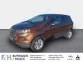 Ford EcoSport Trend Klimaautom SHZ Alarm Notbremsass. PDC Bergan Brun - thumbnail 1
