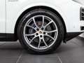 Porsche Cayenne E-Hybrid 346 kW (470 CV) - thumbnail 4