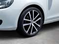 Volkswagen Golf VI 1.4 TSI Cabriolet Lounge Weiß - thumbnail 8