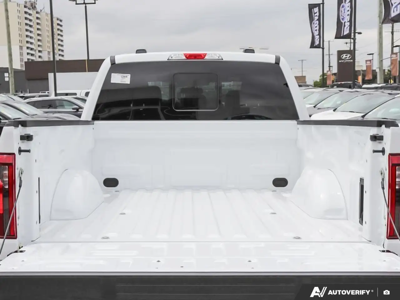 Ford F 150 fotografie Ford F 150