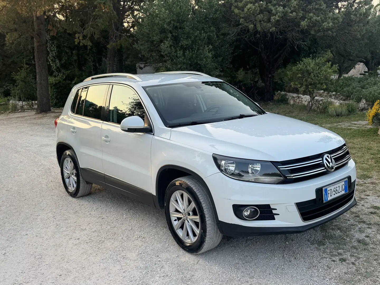 Volkswagen Tiguan 2.0 tdi 4motion dsg - 1