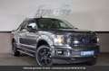 Ford Crew Cab 4x4 Tout compris hors homologation 4500e Серый - thumbnail 1