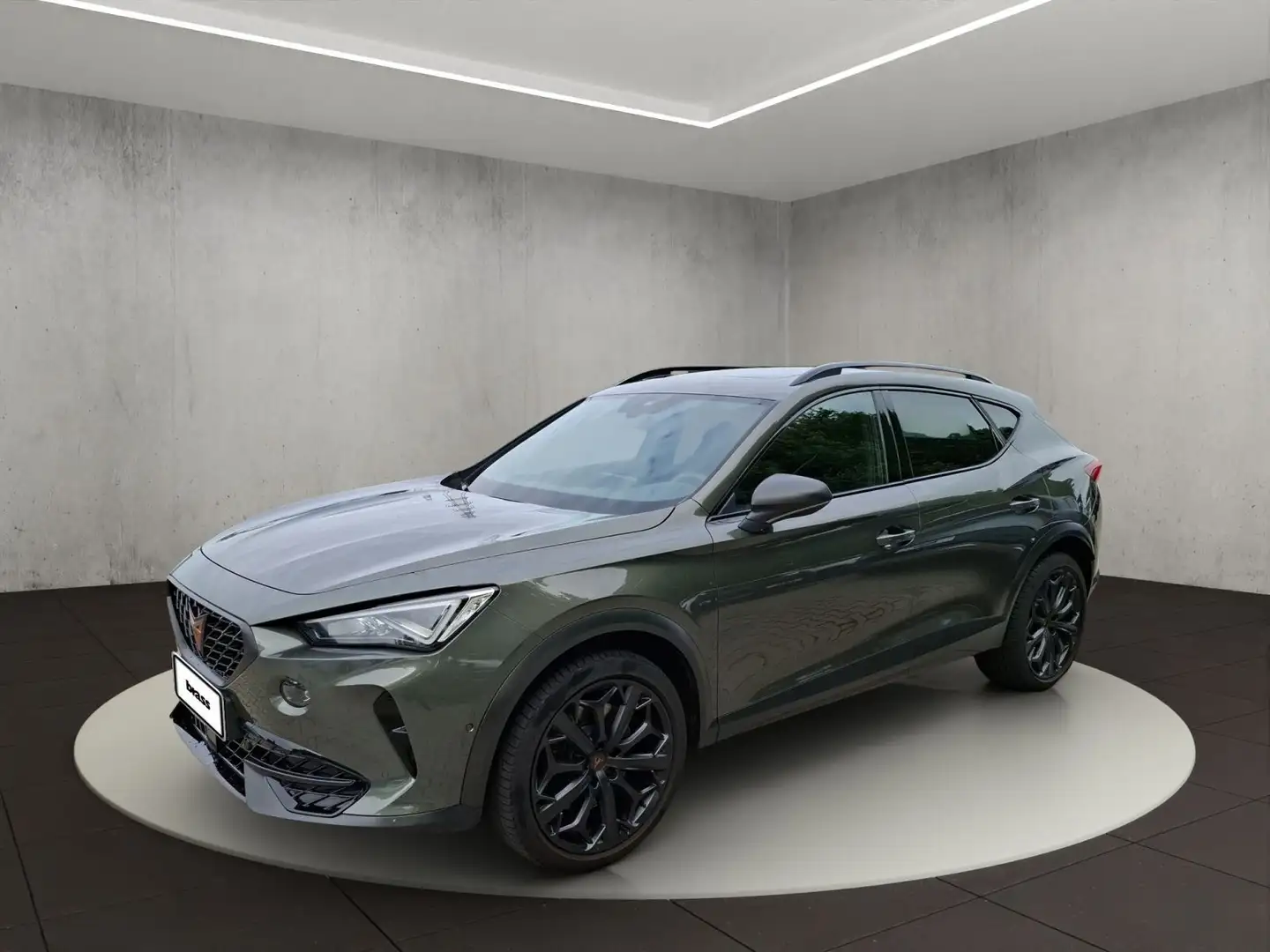 CUPRA Formentor 2.0 TSI VZ Tribe Edition Gris - 1