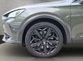 CUPRA Formentor 2.0 TSI VZ Tribe Edition Gris - thumbnail 20
