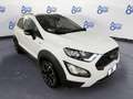 Ford EcoSport 1.0 ECOBOOST 125CV ST-LINE / ACTIVE - * Blu/Azzurro - thumbnail 2