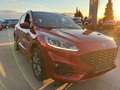 Ford Kuga 1,5 EcoBlue ST-Line 120PS Diesel Rot - thumbnail 2