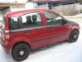 Fiat Panda Panda 1.2 Dynamic TÜV Kundendienst neu Rot - thumbnail 3