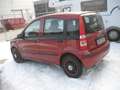 Fiat Panda Panda 1.2 Dynamic TÜV Kundendienst neu Rot - thumbnail 5