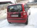 Fiat Panda Panda 1.2 Dynamic TÜV Kundendienst neu Rot - thumbnail 2