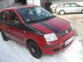 Fiat Panda Panda 1.2 Dynamic TÜV Kundendienst neu Rot - thumbnail 4