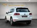 Volkswagen Touareg V6 TDI Executive Edition Terrain Tech Weiß - thumbnail 26