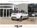 Fiat Panda Panda III 2021 4x4 0.9 t.air t. Wild 4x4 s Bianco - thumbnail 4