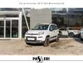 Fiat Panda Panda III 2021 4x4 0.9 t.air t. Wild 4x4 s Bianco - thumbnail 9