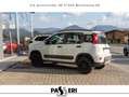 Fiat Panda Panda III 2021 4x4 0.9 t.air t. Wild 4x4 s Bianco - thumbnail 5