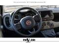 Fiat Panda Panda III 2021 4x4 0.9 t.air t. Wild 4x4 s Bianco - thumbnail 13