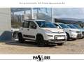 Fiat Panda Panda III 2021 4x4 0.9 t.air t. Wild 4x4 s Bianco - thumbnail 10