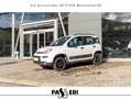 Fiat Panda Panda III 2021 4x4 0.9 t.air t. Wild 4x4 s Bianco - thumbnail 6