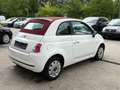 Fiat 500 Pop Blanco - thumbnail 3