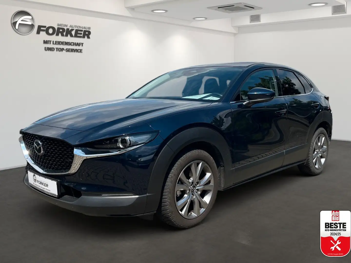 Mazda CX-30 Exclusive-Line Matrix LED 360° Kamera Bose Blau - 1