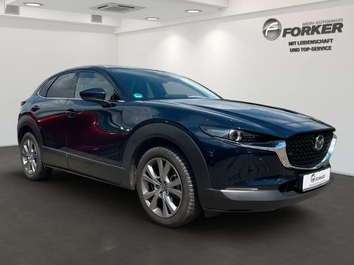 Mazda CX-30 Exclusive-Line Matrix LED 360° Kamera Bose Blau - 2