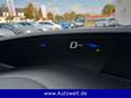 Honda Civic 1.8 Sport 5-trg Klima Navi Sitzhz Tempomat Rouge - thumbnail 33