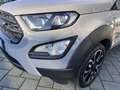 Ford EcoSport EcoSport 1.0 ecoboost Active s Grigio - thumbnail 5