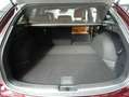 Mazda 6 Skyactiv-G 194 Drive 20th Anniversary,Sportline Pl Rot - thumbnail 10